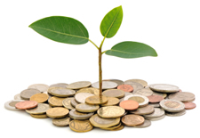 Image of a small plant surrounded by coins